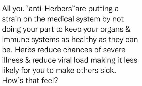 10:08:15 GMT-0400 (EDT)