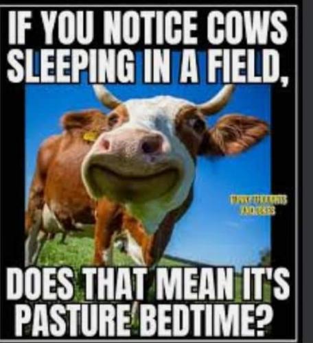 FB_IMG_1634274672837