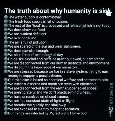 Screenshot_20211010-185814_Wimkin Uncensored