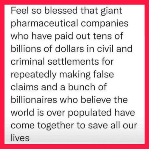 image_1635341920.398