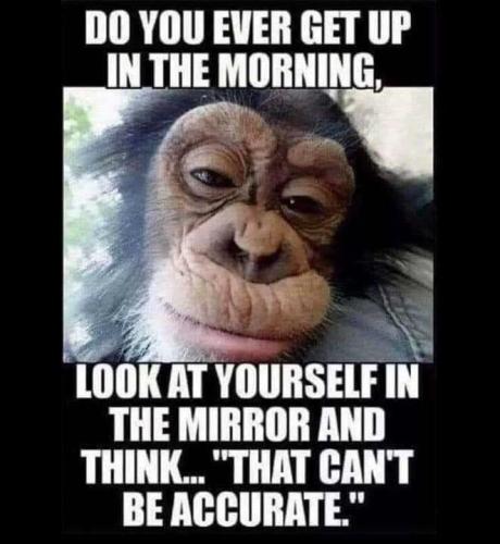 116359191_3319108204817798_8399226320318733464_n