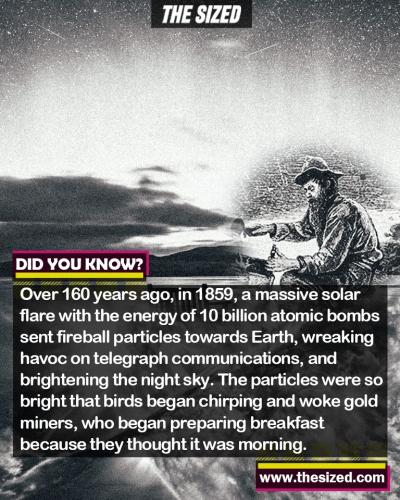 246014019_404557081110615_2260279198152203570_n