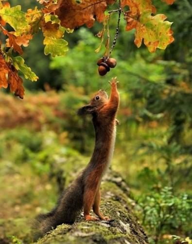 tumblr_fc544f126f3d77ca6876e8cb40d0e9c5_388bdf02_540