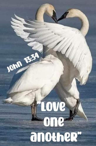 16:54:11 GMT-0800 (AKDT)