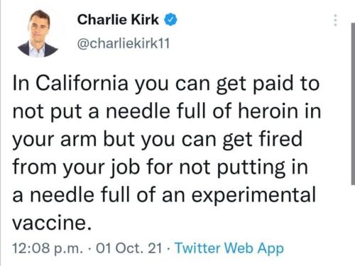 image_1633865902.711