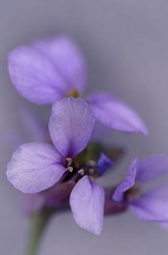 tumblr_5a27f4f46b19e5d5d5f9b7a7b2c4e821_cc7fd159_640