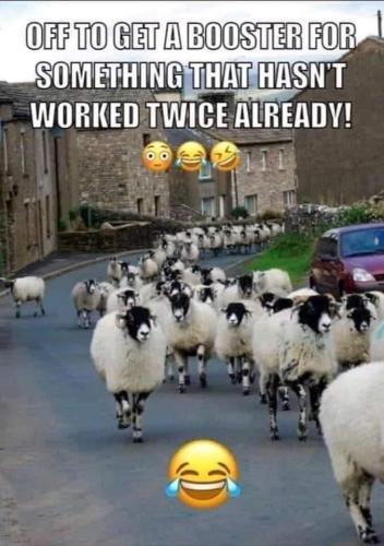 FB_IMG_1635358074178