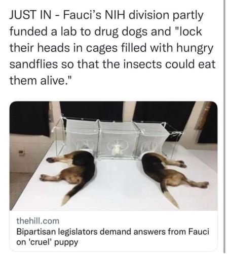 21:17:45 GMT-0400 (EDT)