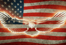 eagle-flag