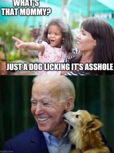 Screenshot_20211020-214854_Wimkin Uncensored