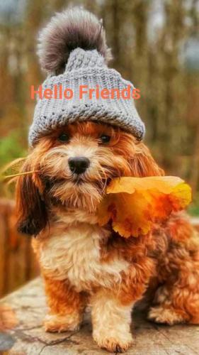 245221342_1998733770275492_4500500252274530028_n