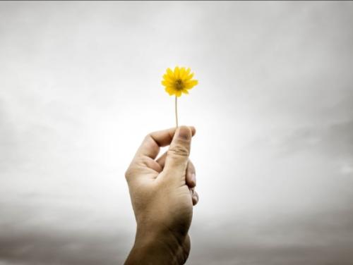 Screenshot_20211031-060642_DuckDuckGo