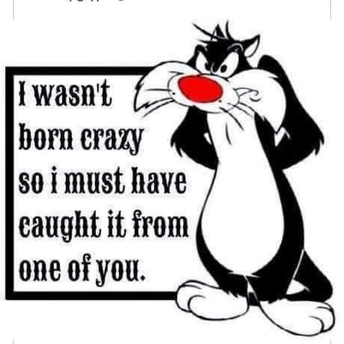 FB_IMG_1635224692883