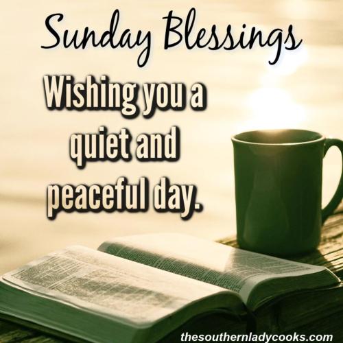 191834861_336928637793583_2873510862332722851_n