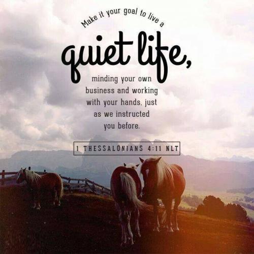 09:37:08 GMT-0400 (EDT)