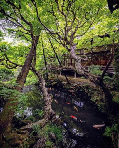 244041877_3056443824626832_4268350688182661184_n