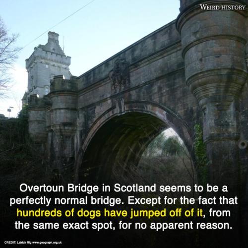 243275832_1066249860585893_4788721189112896058_n