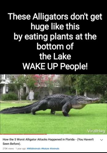 Screenshot_20211024-193913_Photos~4