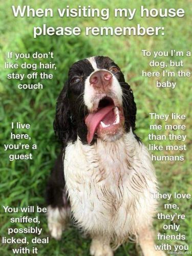 FB_IMG_1634908281282