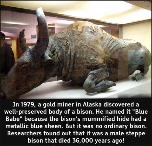 250641491_4444747462241131_2403891513730976127_n