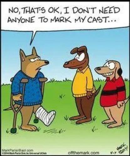 246820051_2054286508060866_3150444020078124496_n