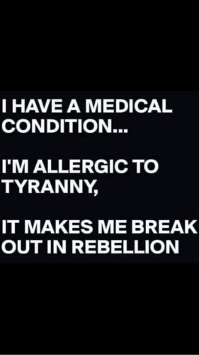 16:22:33 GMT-0400 (EDT).image