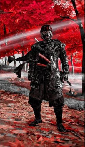 244341713_1294474630992560_370691710620117461_n