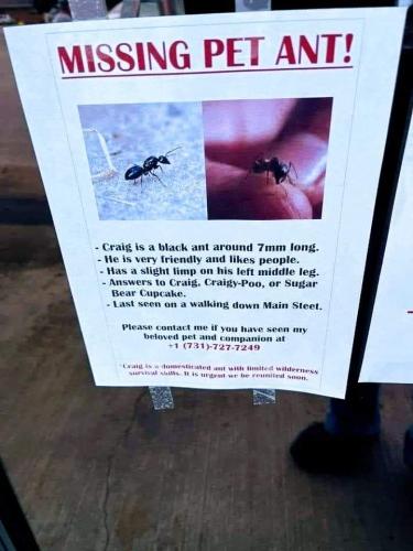 13:46:27 GMT-0400 (EDT)