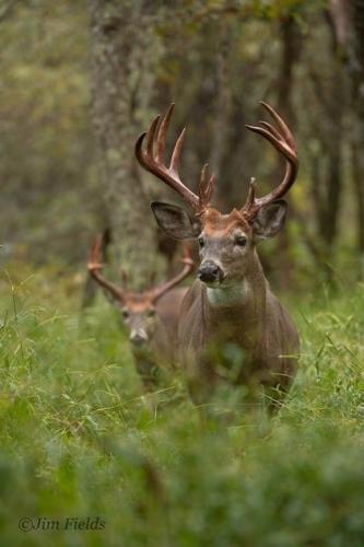 140184714_1512999588905928_3710035390459074667_n