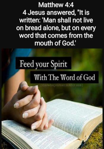 Screenshot_20211027-085135_DuckDuckGo~2