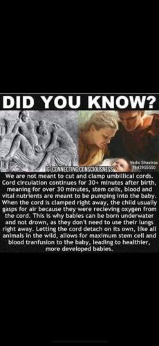 FB_IMG_1634135806104