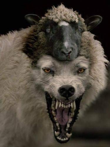 tumblr_fa6a2a5a58f21faa10eef8086dac3bb0_fb0a5d97_500