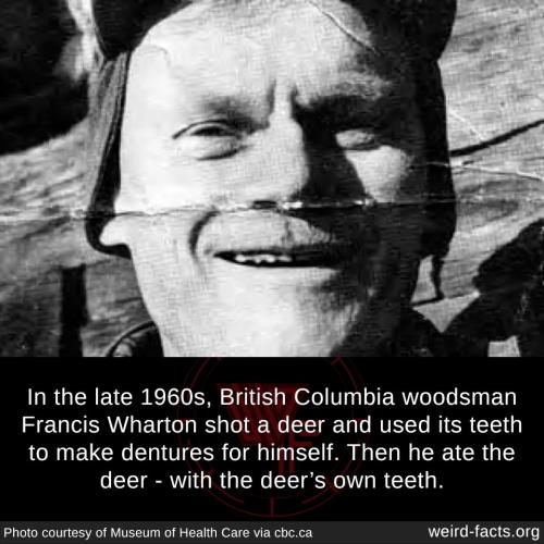 245622384_7032381243446173_6083065335410468237_n