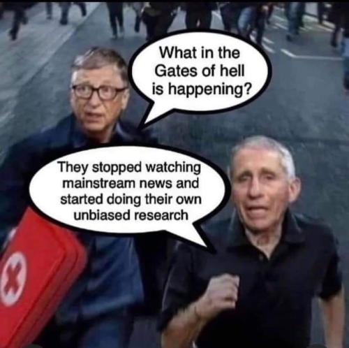 image_1635246249.608