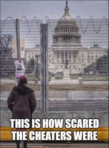 voterfraud242
