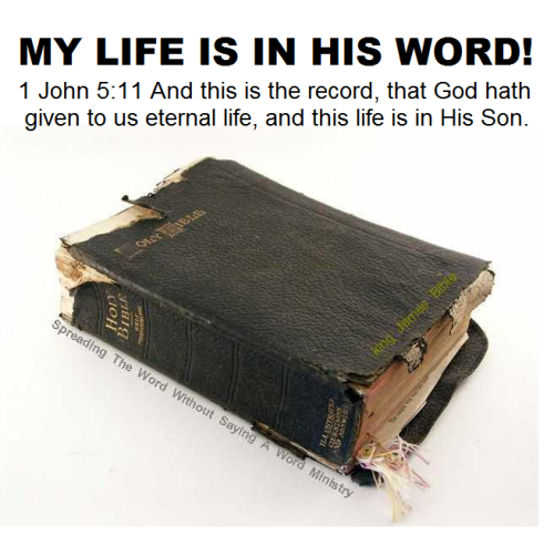 244457991_582614976405892_7196355826876989667_n