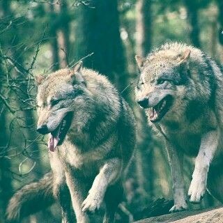 22:19:13 GMT-0500 (CDT)