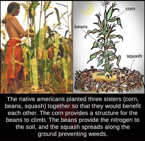 248682283_1908180572722896_2017555508336061426_n