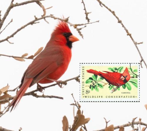 201310483_10159022954280469_3984508733976204427_n