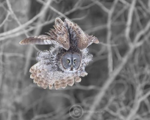 tumblr_f5b059ec88954ea8789adf4bba8d39cb_0a506113_540