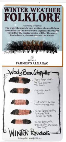 245201346_2056742107825434_8082887815677752949_n