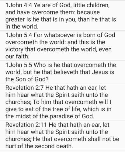 Screenshot_20211013-154208