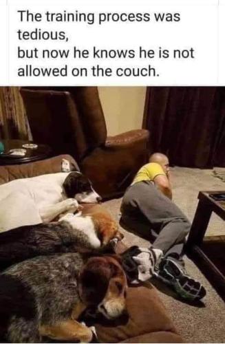 244344243_3061360314123955_8812480411303167760_n