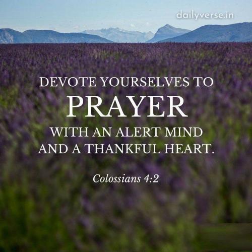 08:03:53 GMT-0400 (EDT)