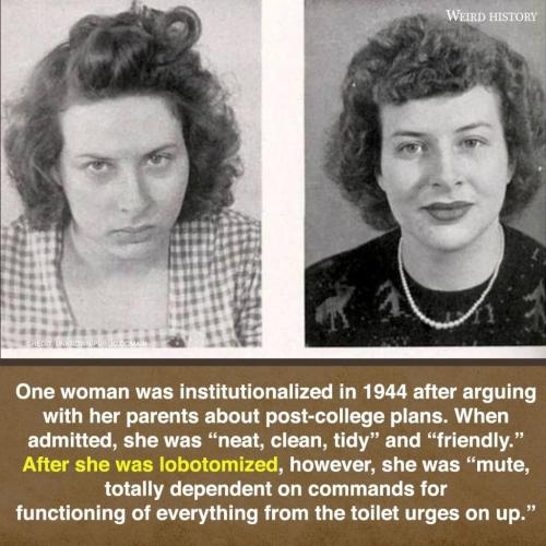 243013640_1051567702054109_5344812012744499128_n