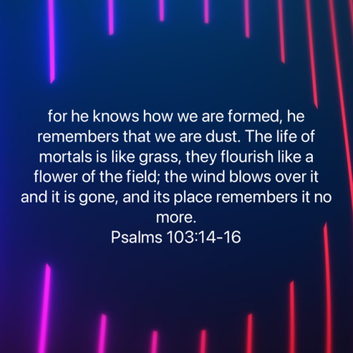 15:11:13 GMT-0400 (EDT).image