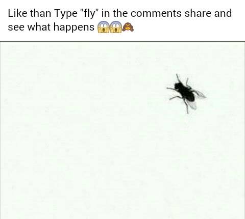 11855891_636731393133866_2158252583483932805_n