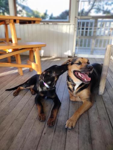 IMG_20211001_173115442_MF_PORTRAIT