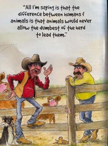 humans vs animals