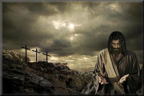 75580083_545202279606889_6811283326423269376_n